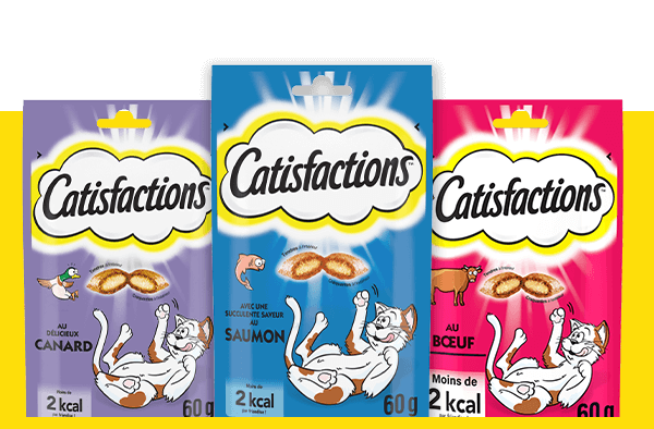 CATISFACTIONS Au Fromage 60 g de Catisfactions - Friandises pour ch