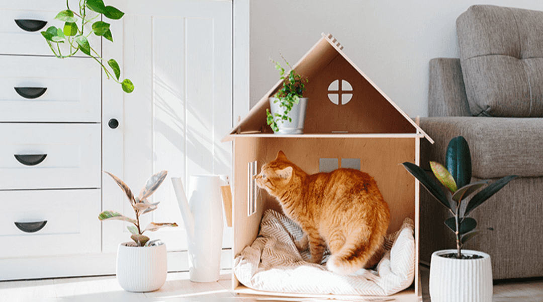 Cadeau pour chat à fabriquer : idées et mode d'emploi
